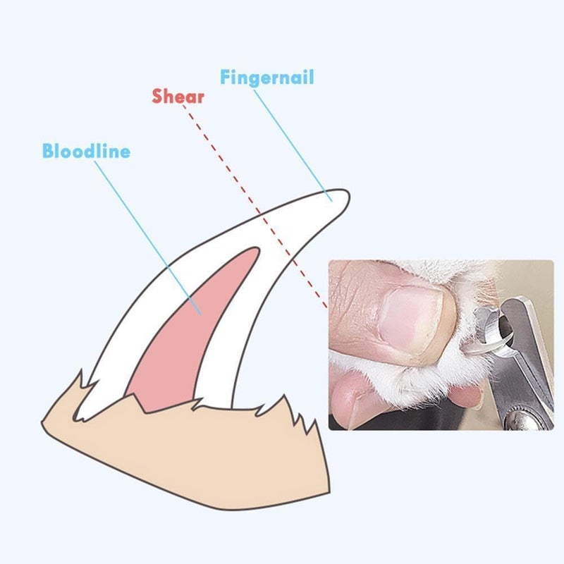 Vesslam Cat & Dog Nail Clipper, Sharp Blade, with Safety Guard- Avoid Over Cutting Pet Nail Clippers, Professional Pet Nail Trimmers (Pink) - Image 5